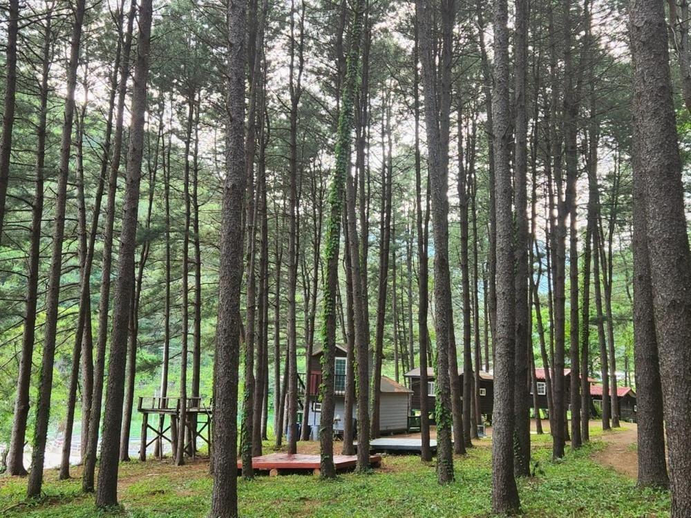 Hongcheon Gongjaksan Recreational Forest Pension Екстериор снимка