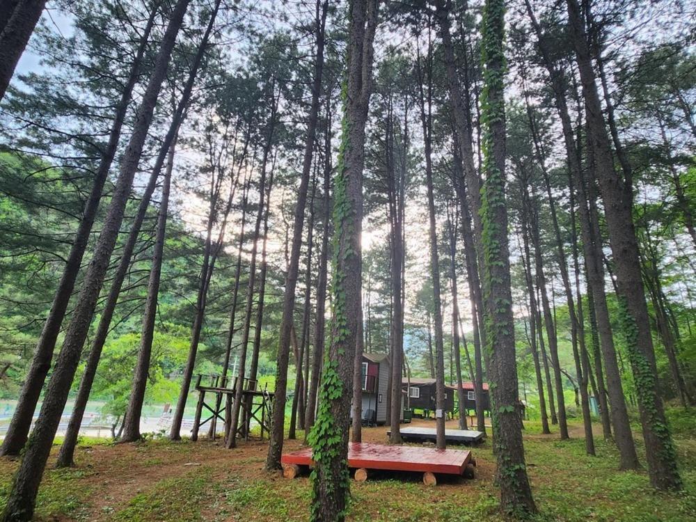 Hongcheon Gongjaksan Recreational Forest Pension Екстериор снимка